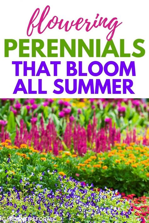 9 Flowering Perennials That Bloom All Summer Long