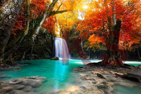 Autumn Waterfall Nature Mural 38800455 Best Quality Customize