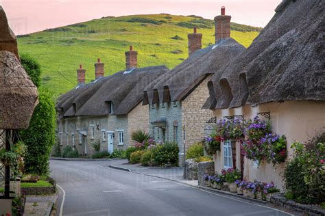 Evening View Of Thatch Roof Cottages In West Lulworth Dorset England