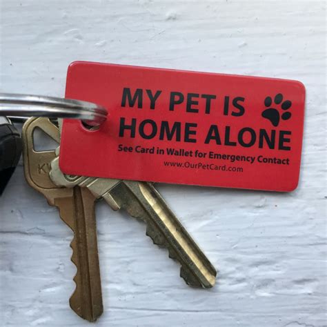 Insurance equals small print, everyone knows that. Emergency Pet Key Tag - Our Pet Card | Pet insurance ...