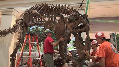 Inside The Smithsonians Revamped Dinosaur Exhibit Cbs News