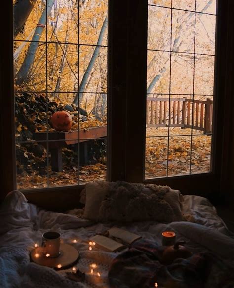 cozy fall vibes autumn cozy autumn aesthetic autumn photography