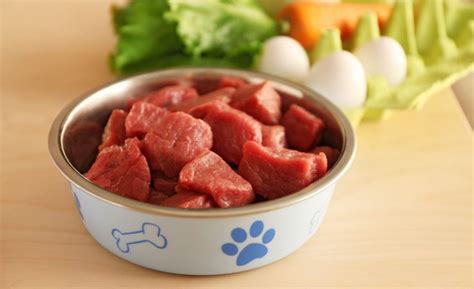 16 Best Raw Dog Foods 2023 Reviews Meaty Uncooked Dog Food