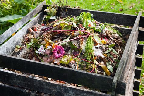 Composting 101 Tips To Get Your Compost Pile Started Capesave