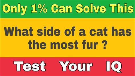 What Side Of A Cat Has The Most Fur Riddle