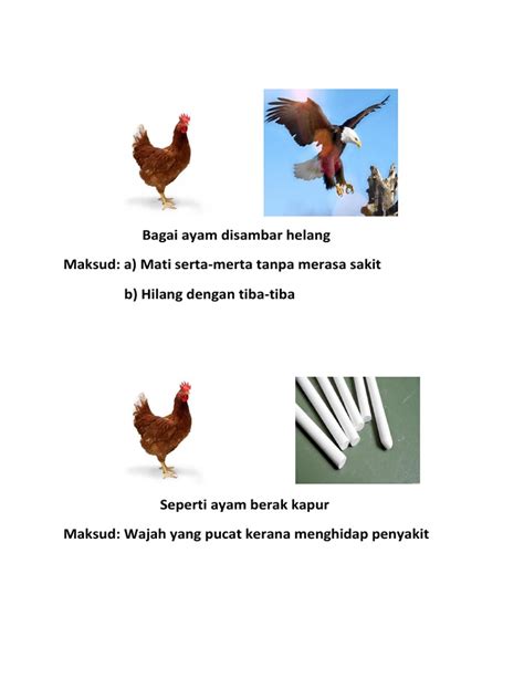 A seperti sampah hanyut b seperti gergaji dua mata c seperti ayam patuk anaknya d bagai mencurah air di dalam keladi. Peribahasa Ayam