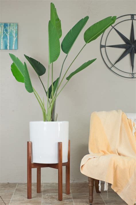 Amazing planter stand and pot. Extra Large Indoor Planter with Stand-Cylinder Planter ...