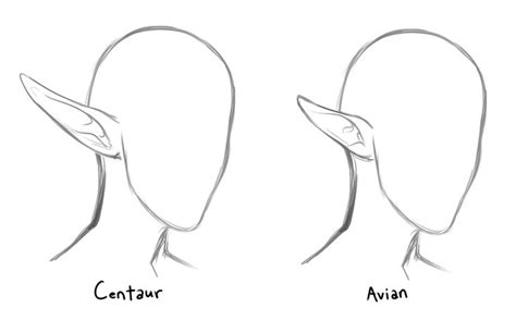 Anime Ears Reference The Complete Guide On Drawing An Anime Girl
