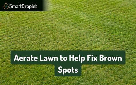 Getting Brown Spots In Your Lawn Causes Solutions