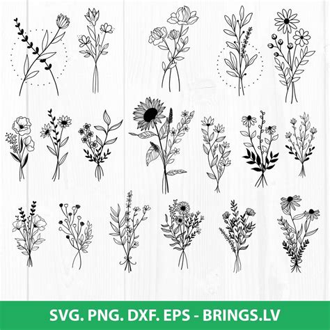 Embellishments Scrapbooking Wildflowers Svg Bundle Hand Drawn