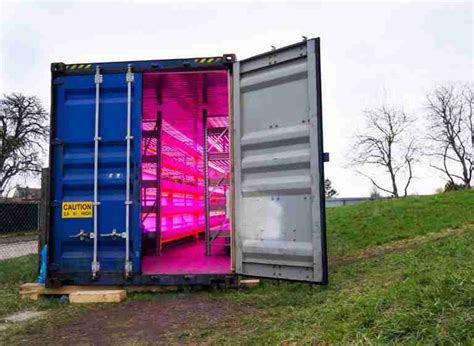 what are shipping container farms everything you must know plants heaven