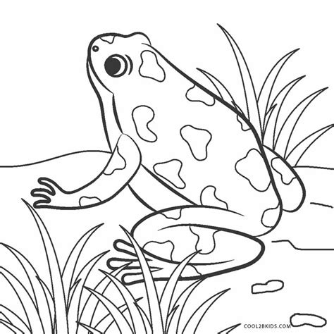 43 Frog Coloring Pages Coloringpages234 Coloringpages234