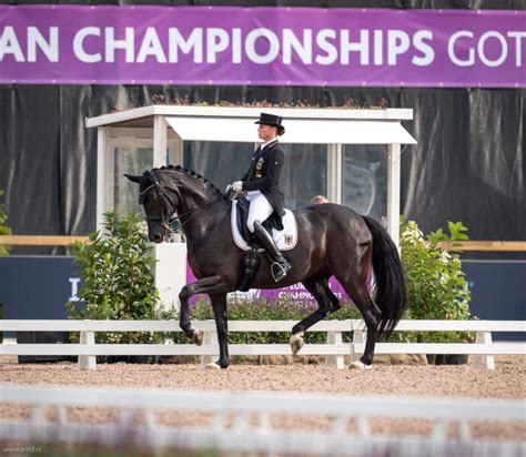 She holds the record for the most olympic medals won by any equestrian athlete, and has earned dozens of european championship, world championship, and world. Drie paarden van Werth in top-5 ISV, Cennin beste ...