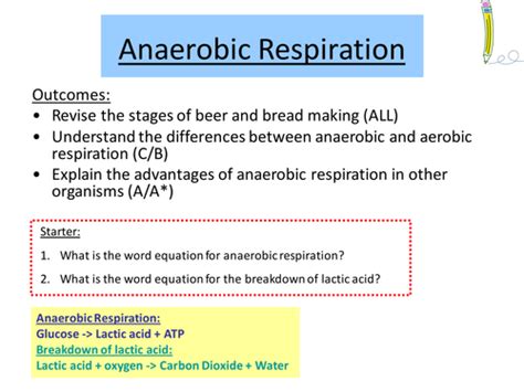 Anaerobic Respiration By Lollified Teaching Resources Tes
