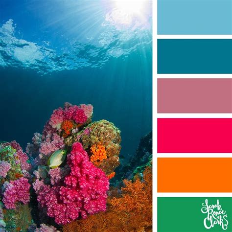 Src Living Coral Collection Ocean Color Palette Color Of Life Color