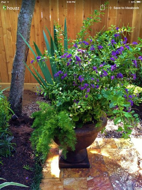 Flower Pot Arrangement Ideas For Back Yard Pinterest