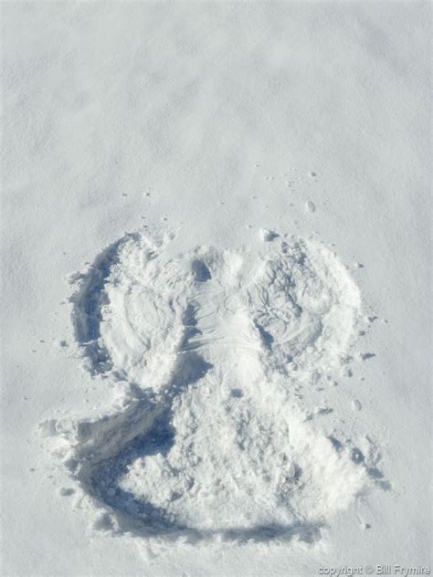 Snow Angel In Fresh Snow
