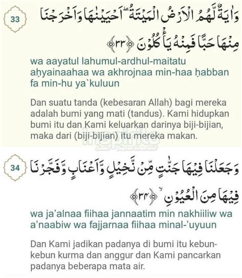 Surat yasin adalah salah satu surat didalam al qur'an nomor ke tiga puluh enam (36), dan terdapat delapan puluh tiga (83) ayat. √ Bacaan Surat Yasin Lengkap | Arab, Latin Dan ...