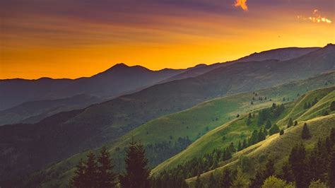 In the tall grass movie something evil lies. Download wallpaper 1920x1080 hill, trees, grass, sunset full hd, hdtv, fhd, 1080p hd background