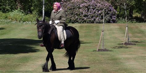 胜女的时代 / sheng ni de shi dai. Queen Elizabeth's Favorite Horses Revealed - Why Queen ...