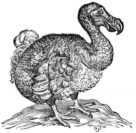Is Your Art Career Going The Way Of The Dodo Bird Drawn By Success