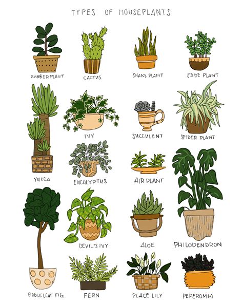 Type Of Houseplants Print On Etsy Types Of Houseplants Indoor