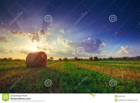 Sunset Field Tree And Hay Bale Made By Hdr Stock Image Image Of