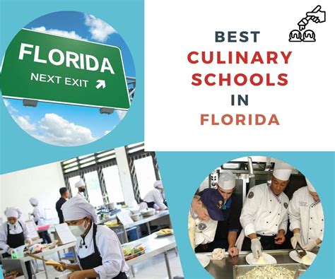 Culinary Schools In Tampa