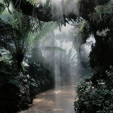 Pin By Eerie On ↑ 図面 ↓ Nature Aesthetic Jungle Pictures Nature