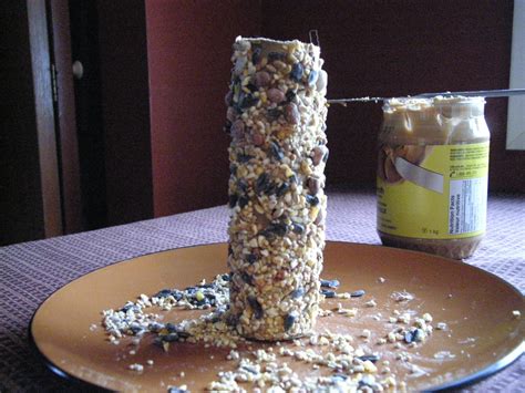 Peanut Butter Bird Feeder 3 Steps With Pictures Instructables