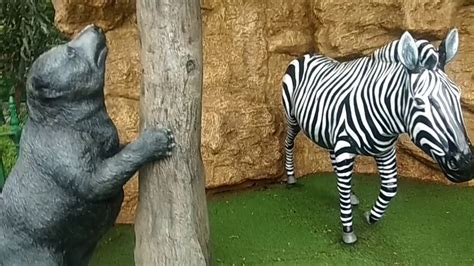 Funny Kids And Animals At The Zoo Funny Kids Fails Vines Zoo For
