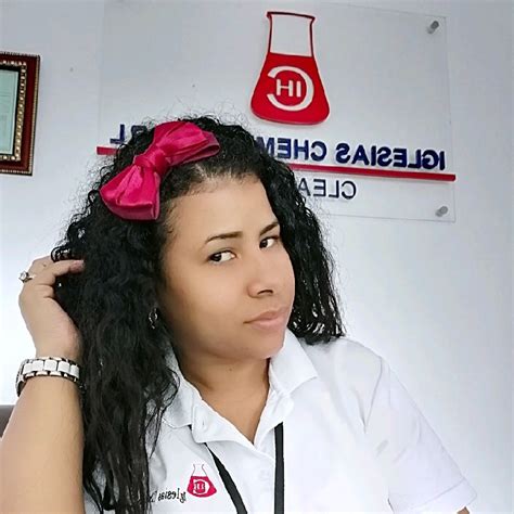 Clary Perez República Dominicana Perfil Profesional Linkedin