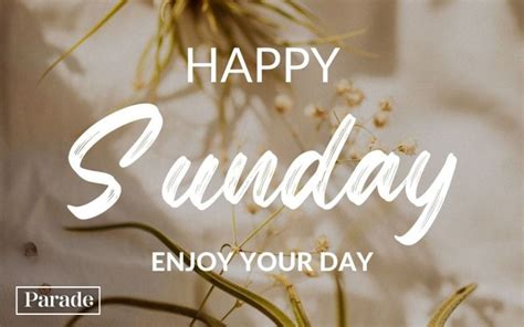 80 Happy Sunday Quotes For A Beautiful Positive Day Parade