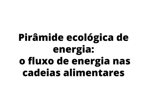 Plano de aula 4o ano Pirâmide ecológica de energia o fluxo de
