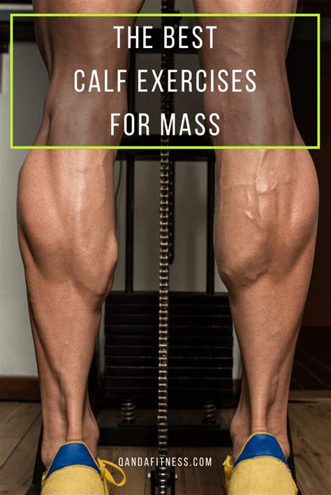 The Best Calf Exercises For Mass Calf Exercises Best Calf Exercises Calf Training