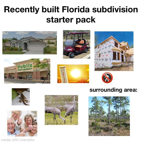 Newly Built Subdivision In Florida Starter Pack Starterpacks