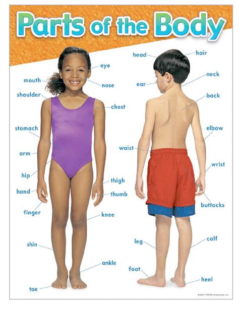 Using a body diagram activity is also a great resource for teaching esl students, or send children learning about the body. Les Catégories de Mamzel 2016 - Parte Deux | 2016 Category Challenge | LibraryThing