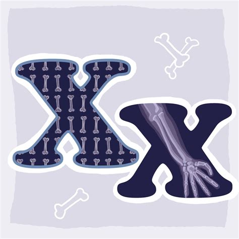 X Is For Xray Alphabet Letter Png Clip Art Set Educational Resource