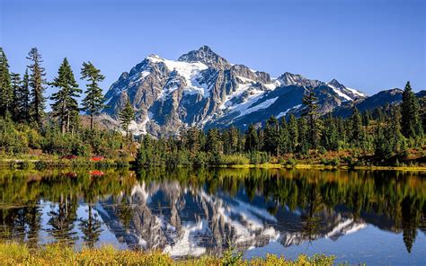 Mount Shuksan Lake Forest Summer North Cascades National Park