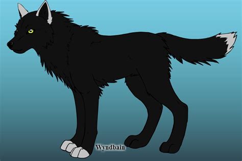 Hayley Made Using Wyndbains Wolf Maker By Thewesternwolf On Deviantart