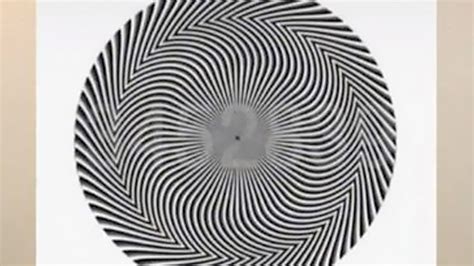 Most People Spot Different Numbers In New Optical Illusion What Do You