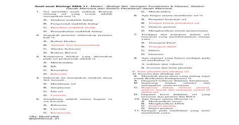 Jadi, semakin hipertonis larutan gula semakin banyak air yang keluar dari. Soal Biologi Kelas 11 SMA.docx - DOCX Document