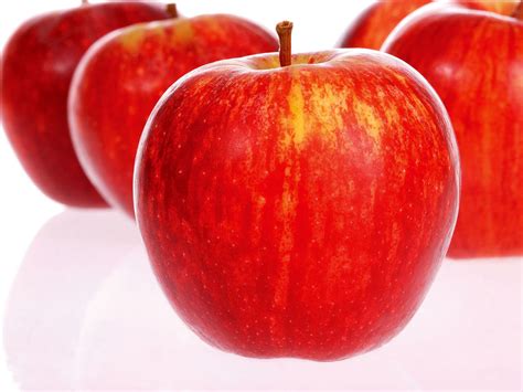 Agrihunt Apple Fruit