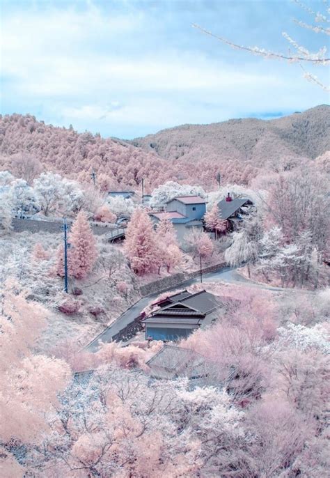 Snow On Cherry Blossoms In Nagano — 5 Things I Learned Today