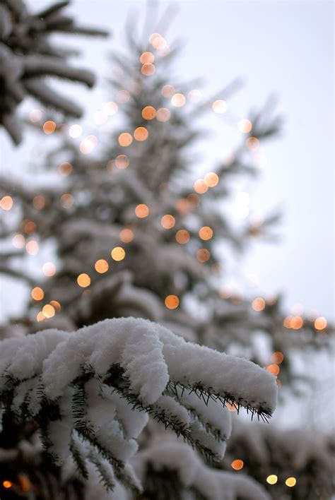 Winterstimmung Mit Bildern Weihnachten Handy Hintergrund