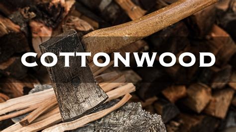 Is Cottonwood Good For Firewood Down To Earth Homesteaders