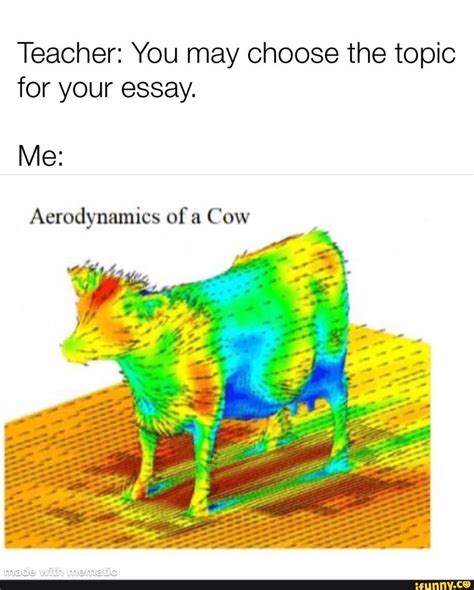 Teacher You May Choose The Topic For Your Essay Aerodynamics Of A Cow