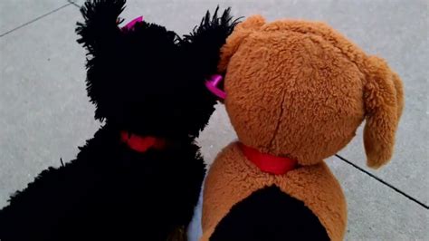 Promise pets season 4 episode 7 Sunrise - YouTube