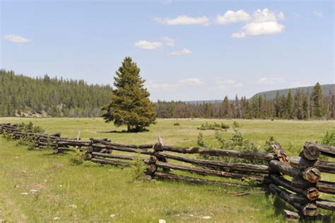 Virtually any type of tree will work for your fence. 28 Split Rail Fence Ideas for Acreages and Private Homes