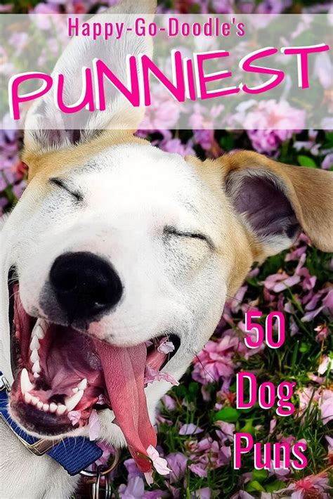 50 Dog Puns The Ultimutt List To Make You Smile Or Grrrroan Dog